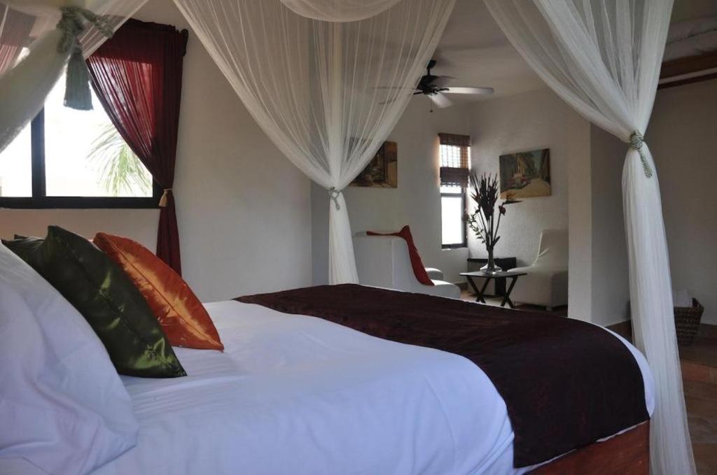 Flamingo Hotel Cozumel Kültér fotó